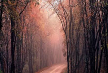 C7娱乐官网:宫鲁鸣不再担任中国篮协副主席新华社.