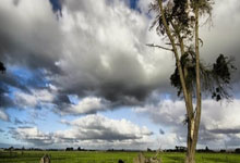 C7娱乐官网:CSD主席:我们批准巴萨注册奥尔莫,是为了保护这位西班牙国脚.